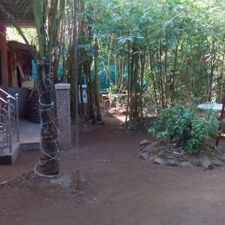 Samartha Cottage, Varsoli 알리바그 외부 사진