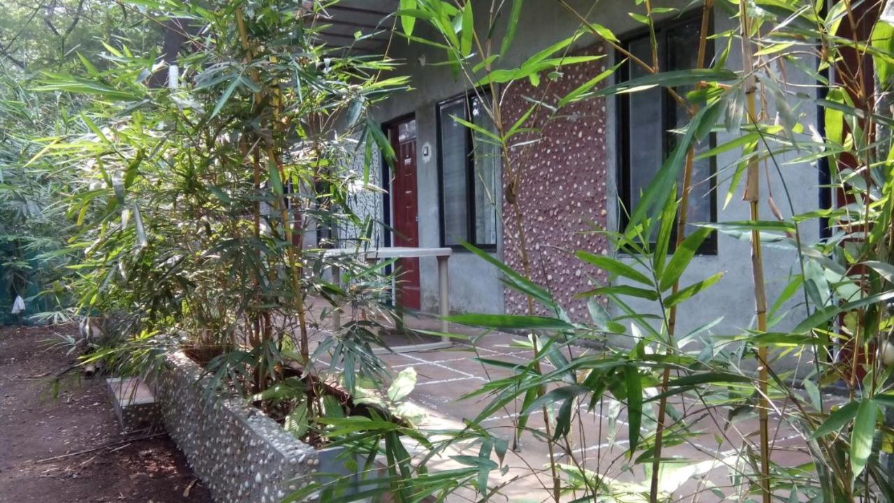 Samartha Cottage, Varsoli 알리바그 외부 사진